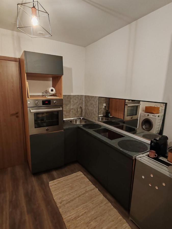 Studio Grigio Daire Sibiu Dış mekan fotoğraf