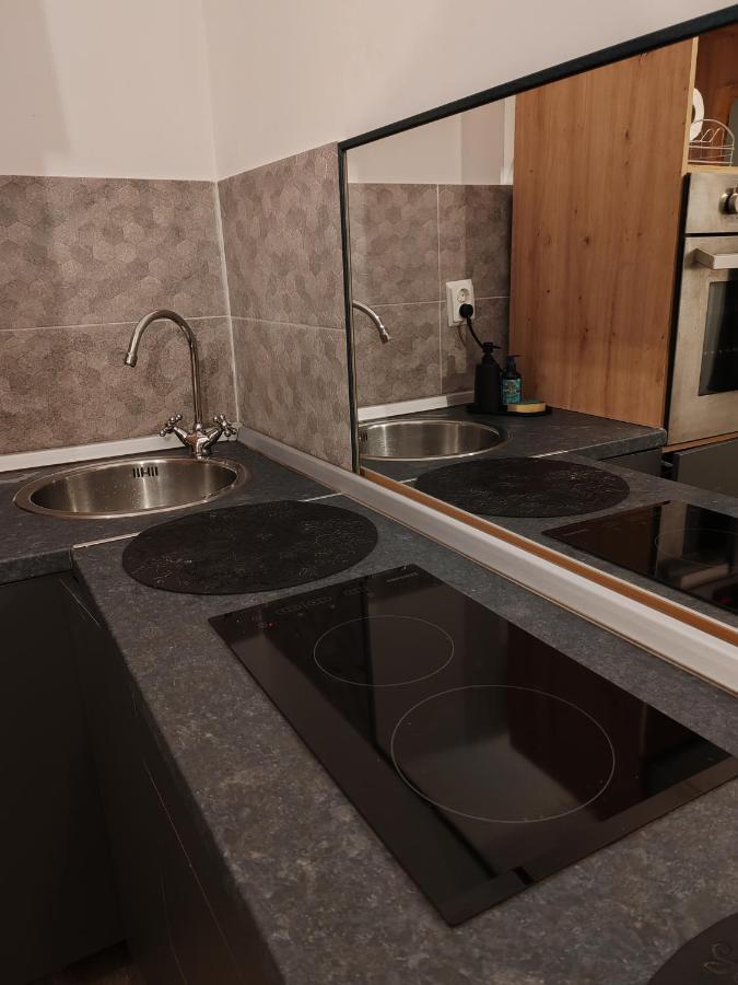 Studio Grigio Daire Sibiu Dış mekan fotoğraf
